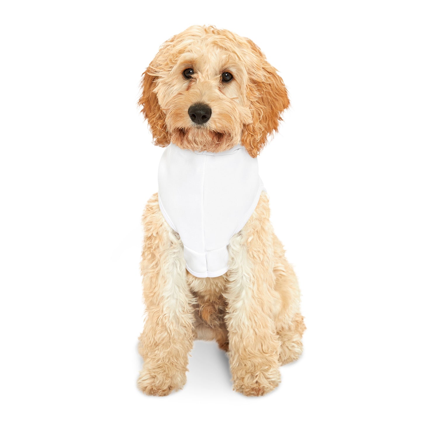 Linky Pet Hoodie